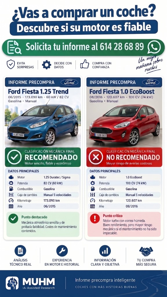 Afiche Comercial MUHM Comparativa Ford Fiesta